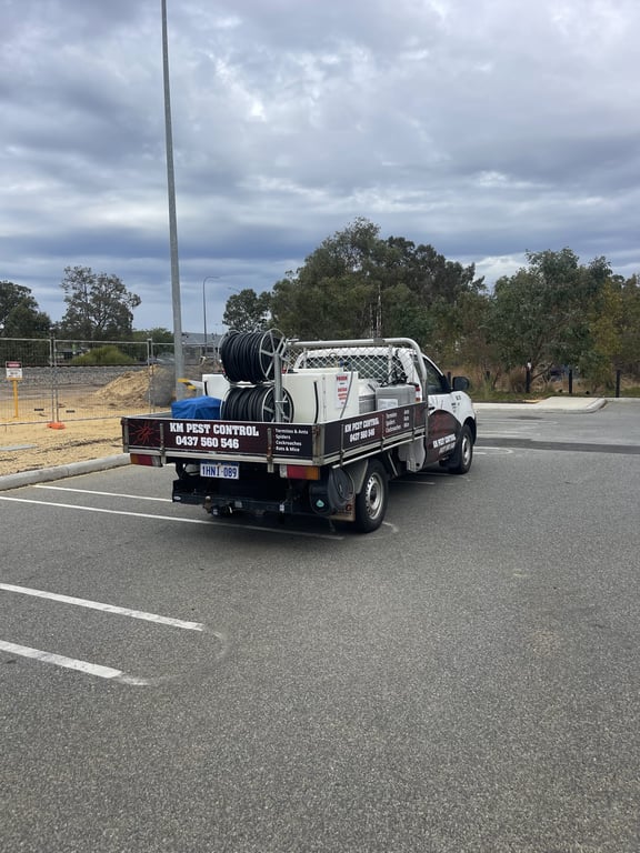 KM Pest Control Perth Champions Eco-Friendly Solutions for Safer Pest Removal Perth