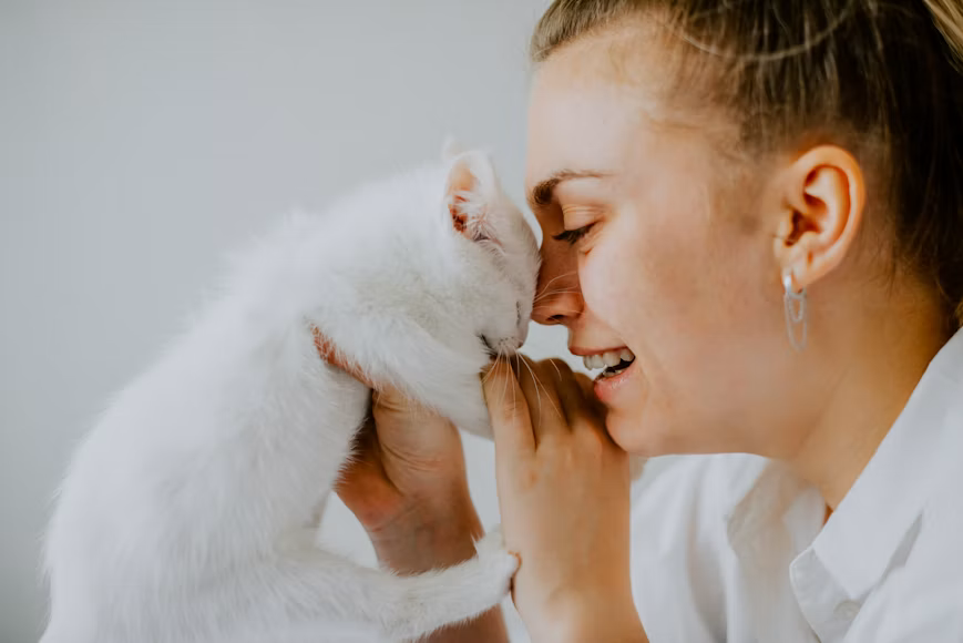 Kenali 8 Penyebab dan Cara Mengatasi Kucing Menangis