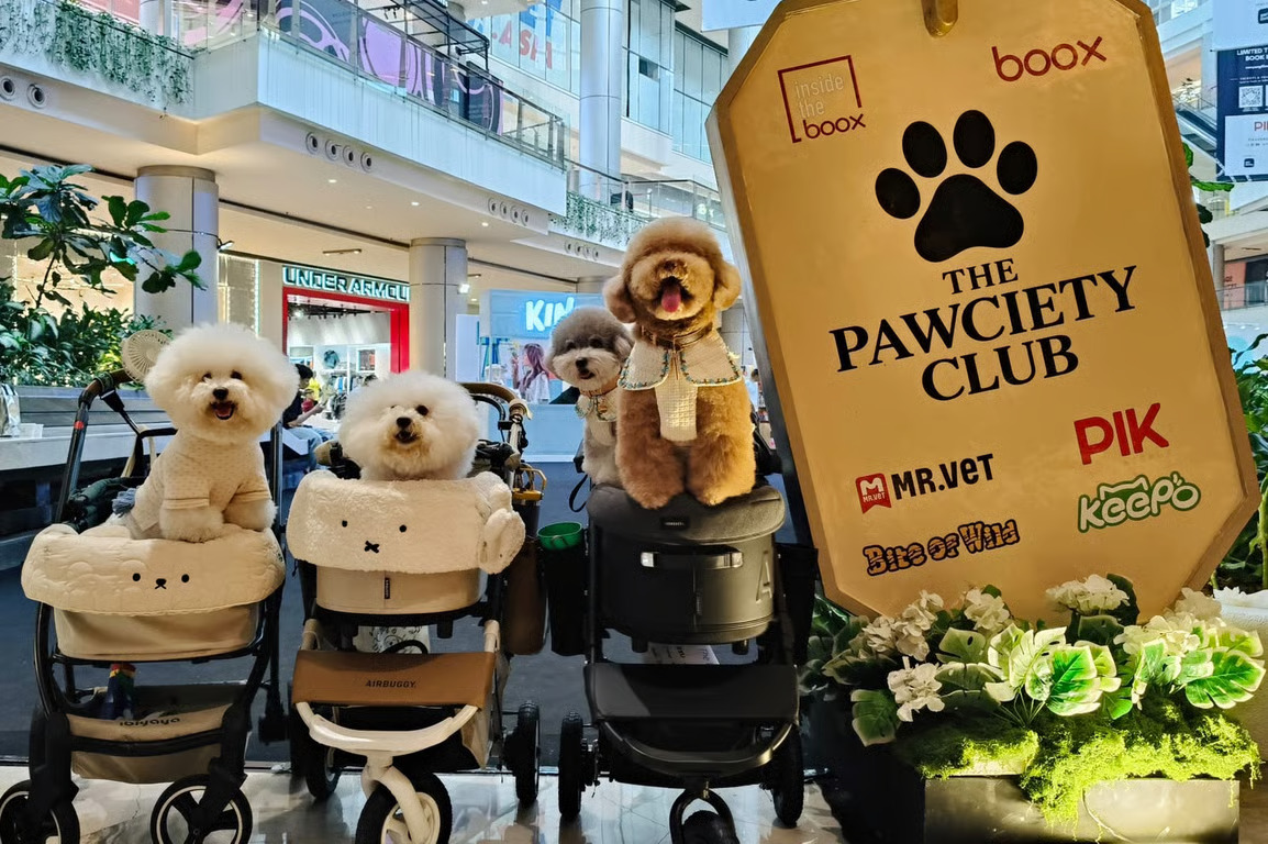 The Pawciety Club Bawa Dunia Dog Lovers ke PIK Avenue